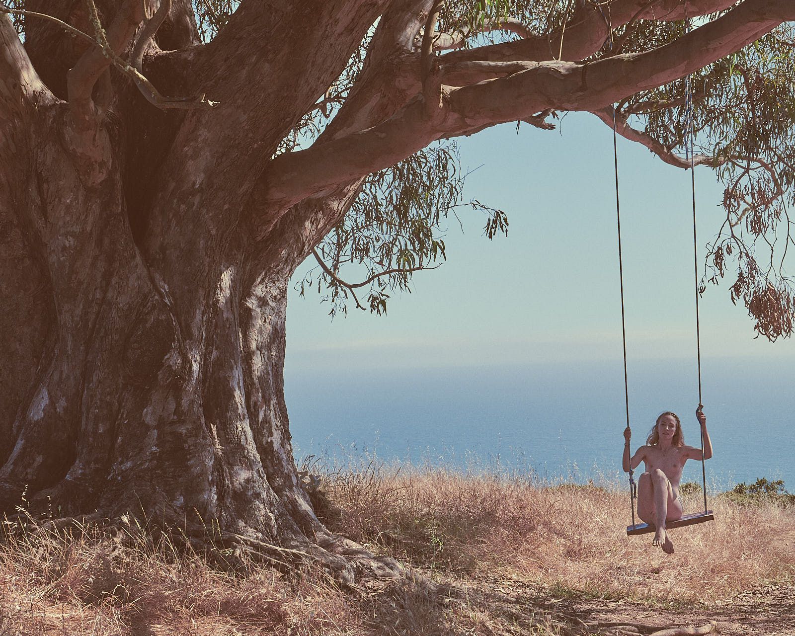 A picture of a young naked woman on a tree swing.