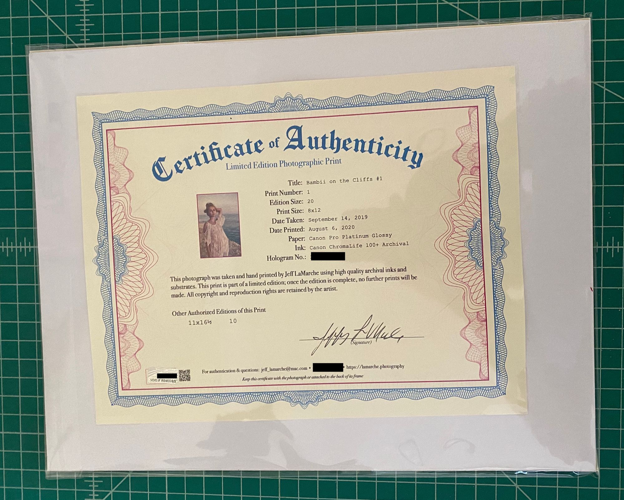 The back of a mounted limited edition print in a crystal bag, with the certificate of authenticity attached to the back of the mount.