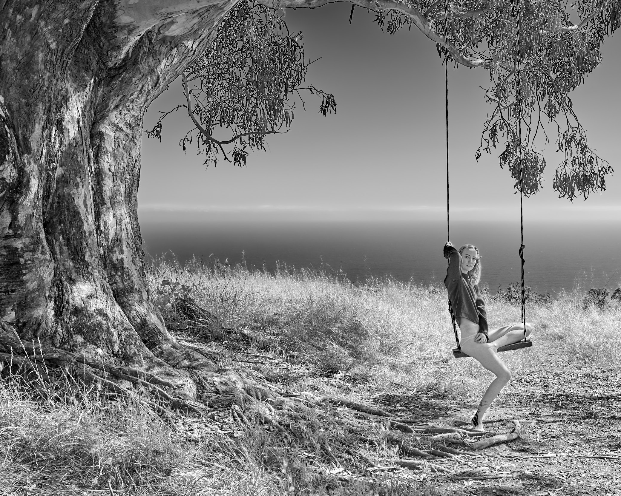 A black and white photo of a large tree with a swing, upon which a young woman sits.